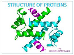 ترکیب و ساختار پروتئین 1 (پیشرفته)